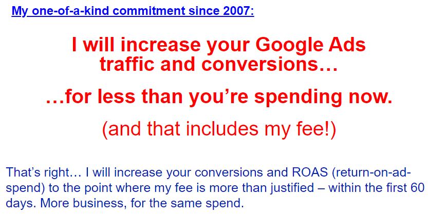 google ads expert